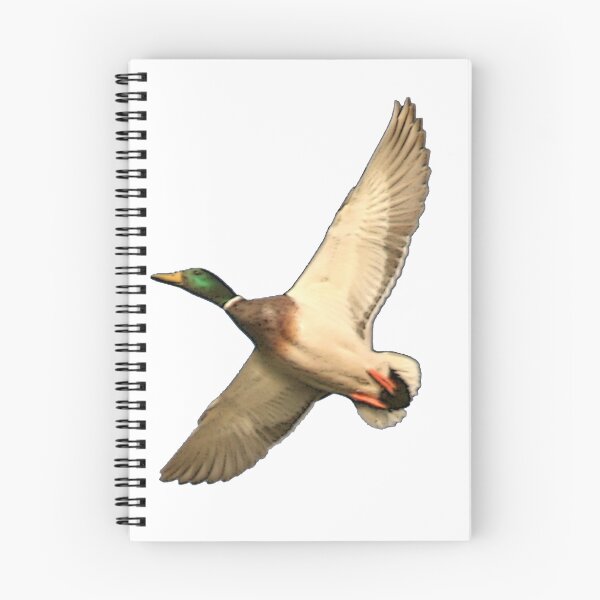 Item preview, Mallard Duck designed and sold by Saltypro.