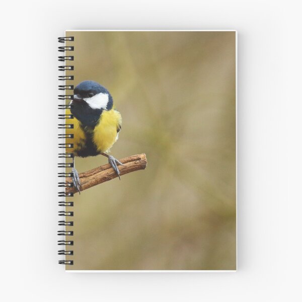 Item preview, Great Tit designed and sold by Paul Bettison.