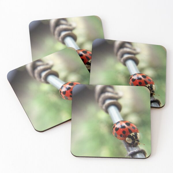 Item preview, Vaquita de San Antonio or Mariquita designed and sold by NaturaFotos.