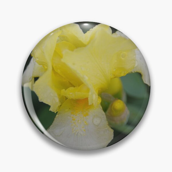 Item preview, Yellow And White Iris Beauty designed and sold by lezvee.