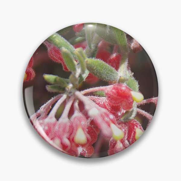 Item preview, Pouched Grevillea (G. saccata) designed and sold by lezvee.