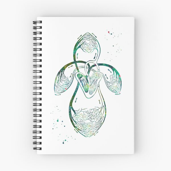 Aperçu de l'œuvre Organes de circulation créée et vendue par EvasDreams.
