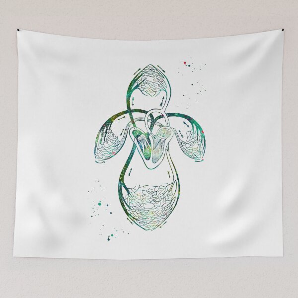 Item preview, Organs of Circulation designed and sold by EvasDreams.