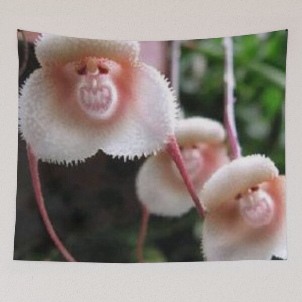 Item preview, Monkey look alike flower. designed and sold by Lan thi Nguyen.