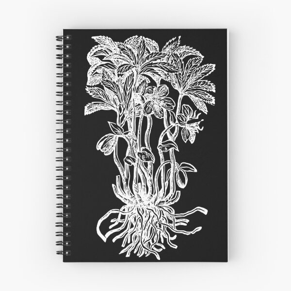 Item preview, Hellebore vintage plant illustration designed and sold by herracaligari.