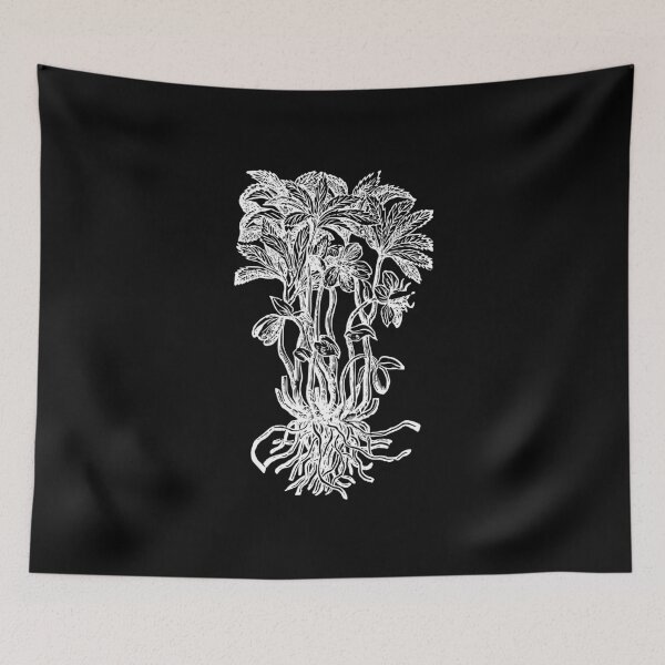 Item preview, Hellebore vintage plant illustration designed and sold by herracaligari.