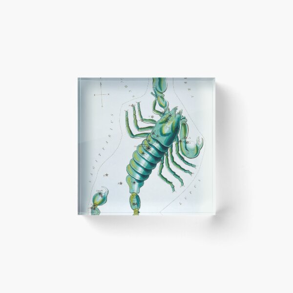Item preview, Antique Scorpio Constellation Map designed and sold by VintageArchive.