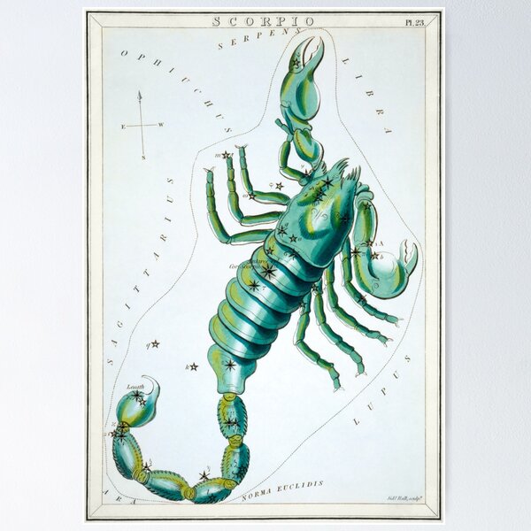 Item preview, Antique Scorpio Constellation Map designed and sold by VintageArchive.