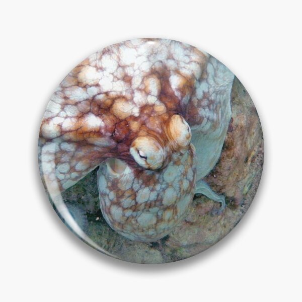 Item preview, Octopus! designed and sold by magnetarball.