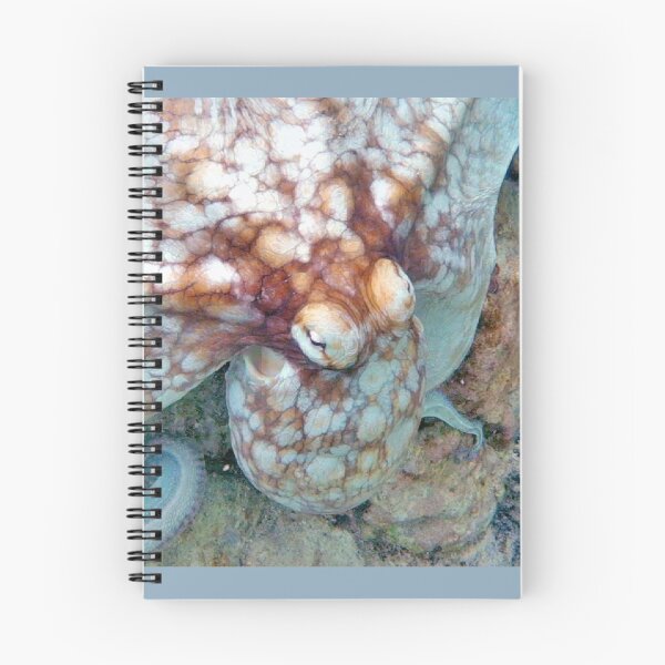 Item preview, Octopus! designed and sold by magnetarball.
