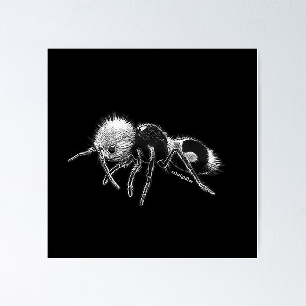 Item preview, Panda Ant designed and sold by Ailuigidlos.