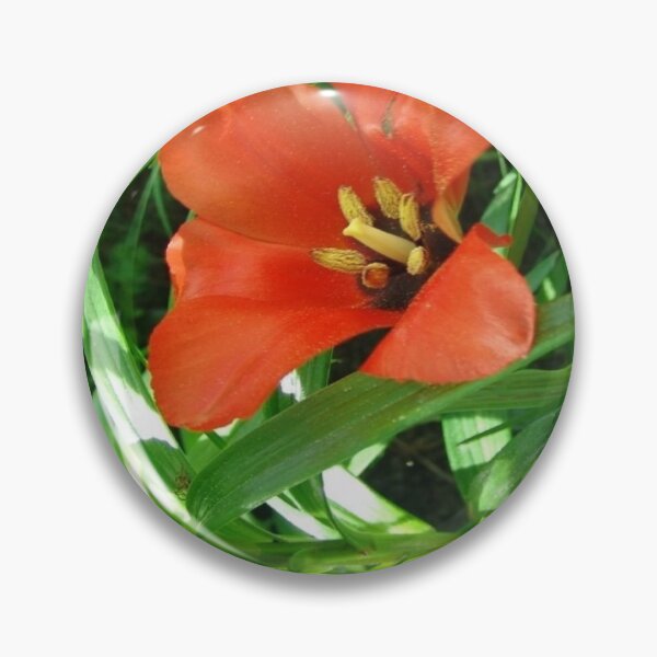 Item preview, Positive Red Hyacinth designed and sold by Flirt-Teez.