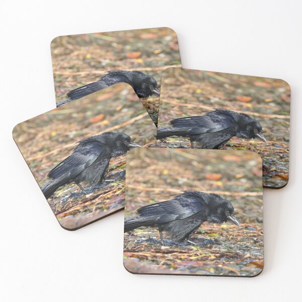 Item preview, Disgruntled crow designed and sold by GreyFeatherPhot.
