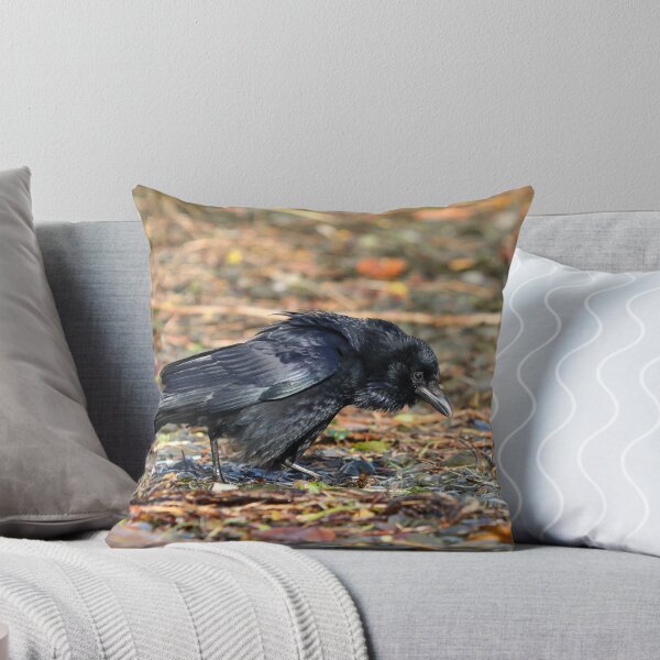 Item preview, Disgruntled crow designed and sold by GreyFeatherPhot.