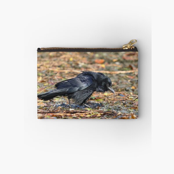 Item preview, Disgruntled crow designed and sold by GreyFeatherPhot.