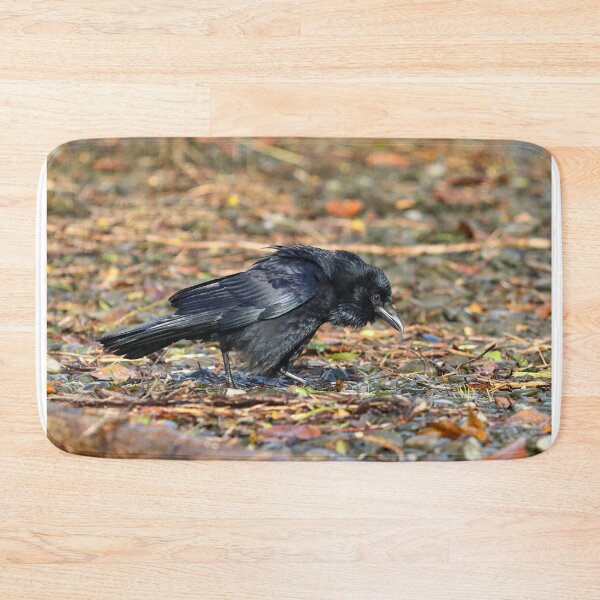 Item preview, Disgruntled crow designed and sold by GreyFeatherPhot.