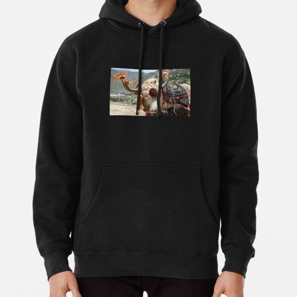 Tibetan yak, highland cow Pullover Hoodie