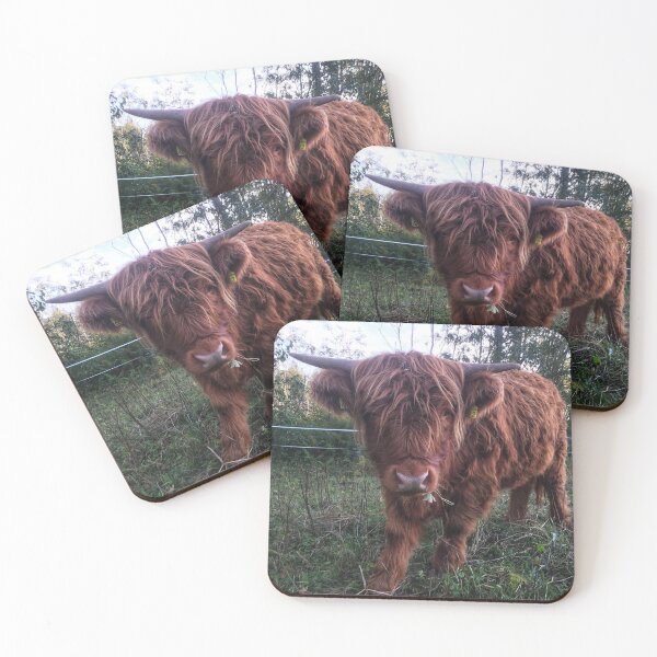 Item preview, Scottish Highland Cattle Calf 2104 designed and sold by SaarelaHighland.