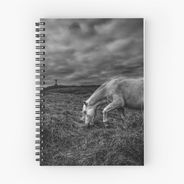 Item preview, Wild Horses on Llanddwyn Island  designed and sold by Chris V Evans.