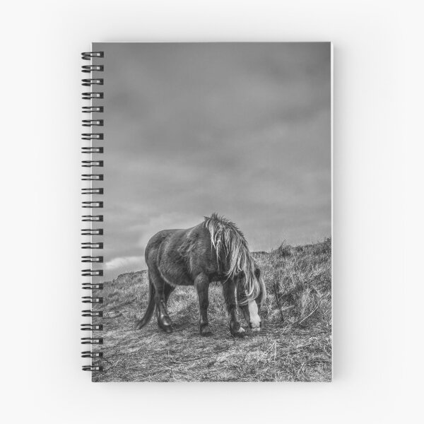 Item preview, Wild Horse on Llanddwyn Island  designed and sold by Chris V Evans.