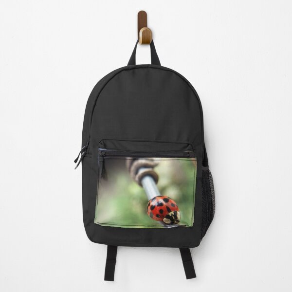 Item preview, Vaquita de San Antonio or Mariquita designed and sold by NaturaFotos.