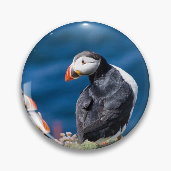 Item preview, Atlantic Puffins by the Sea Cliifs designed and sold by derekbeattie.