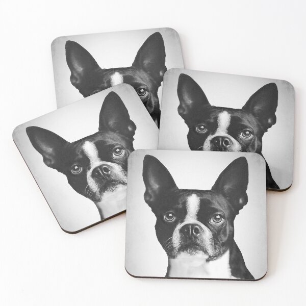 Item preview, Boston Terrier dog - BW Vintage - D16 designed and sold by DecoVintage.