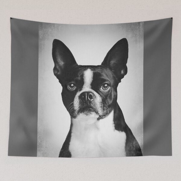 Item preview, Boston Terrier dog - BW Vintage - D16 designed and sold by DecoVintage.
