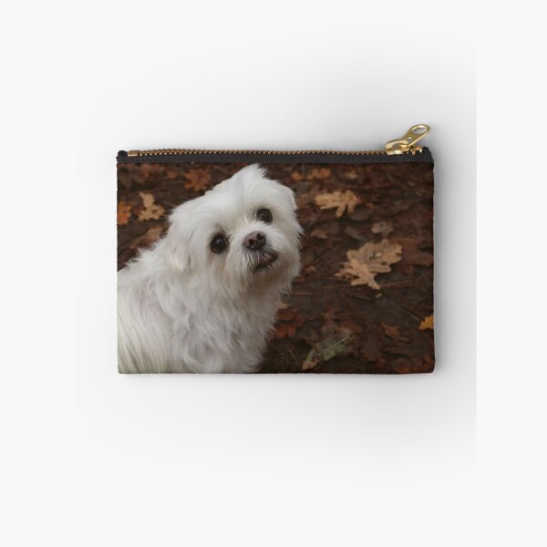 Item preview, Maltese Dog in the forest designed and sold by MvMeer.