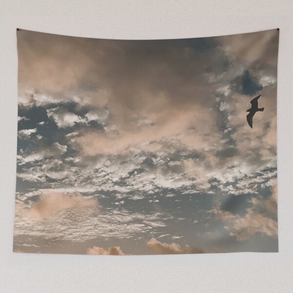 Item preview, Flying Solo designed and sold by Jason Tompkins.