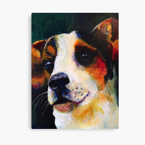 Dotty The Jack Russell Terrier Canvas Print