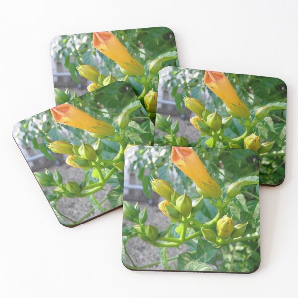 Item preview, Trumpet Vines designed and sold by Shulie1.