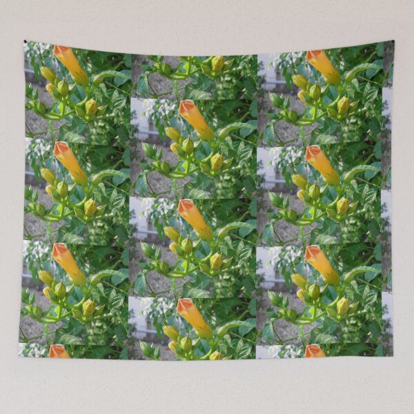 Item preview, Trumpet Vines designed and sold by Shulie1.
