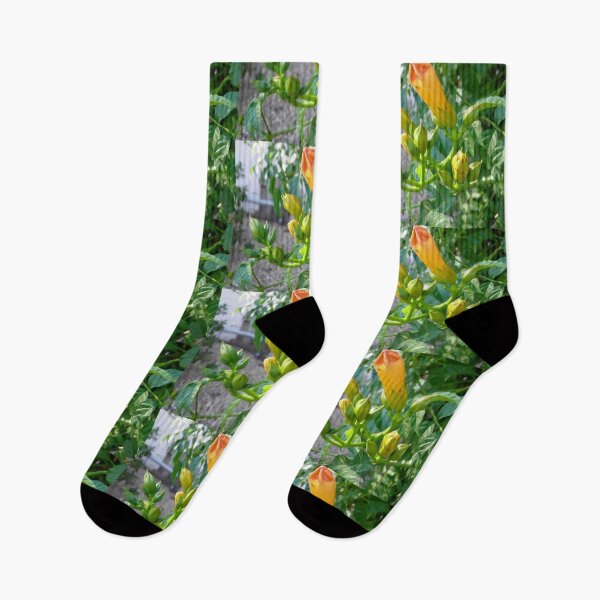 Item preview, Trumpet Vines designed and sold by Shulie1.
