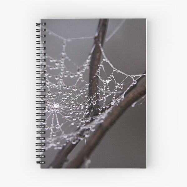 Item preview, Spider's web designed and sold by Wolf Sverak Photography.