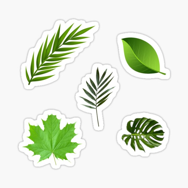 Green Leaves Sticker