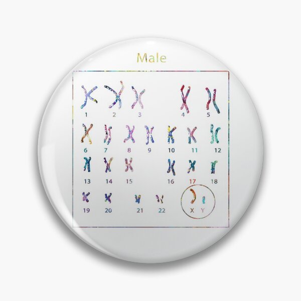 Item preview, Human Male Chromosomes designed and sold by EvasDreams.