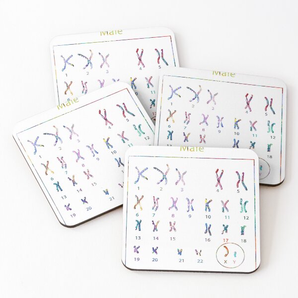 Item preview, Human Male Chromosomes designed and sold by EvasDreams.