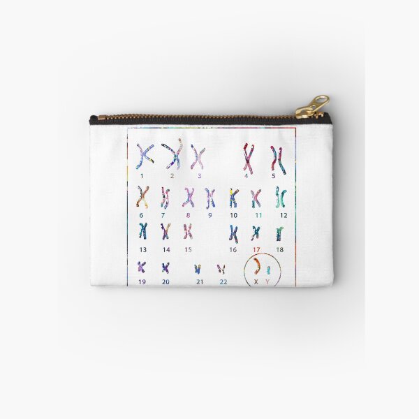 Item preview, Human Male Chromosomes designed and sold by EvasDreams.