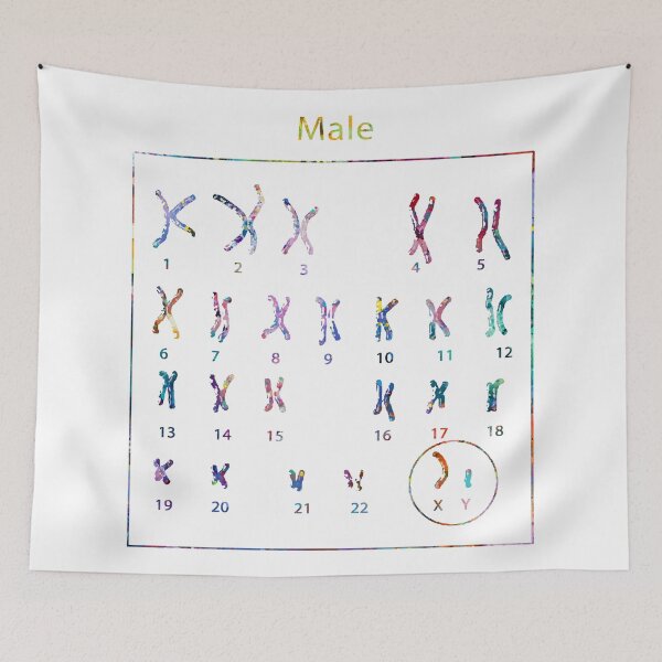 Item preview, Human Male Chromosomes designed and sold by EvasDreams.