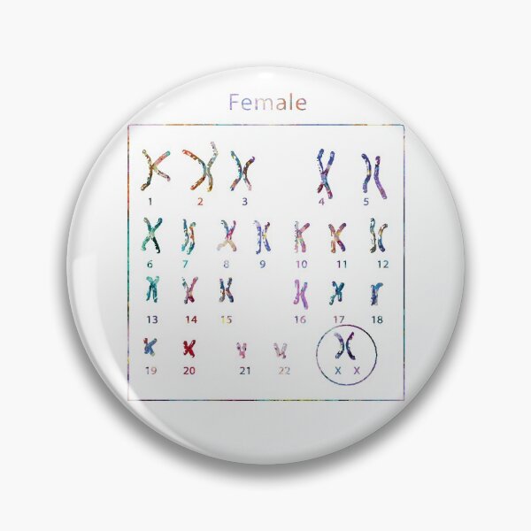 Item preview, Human Female Chromosomes designed and sold by EvasDreams.