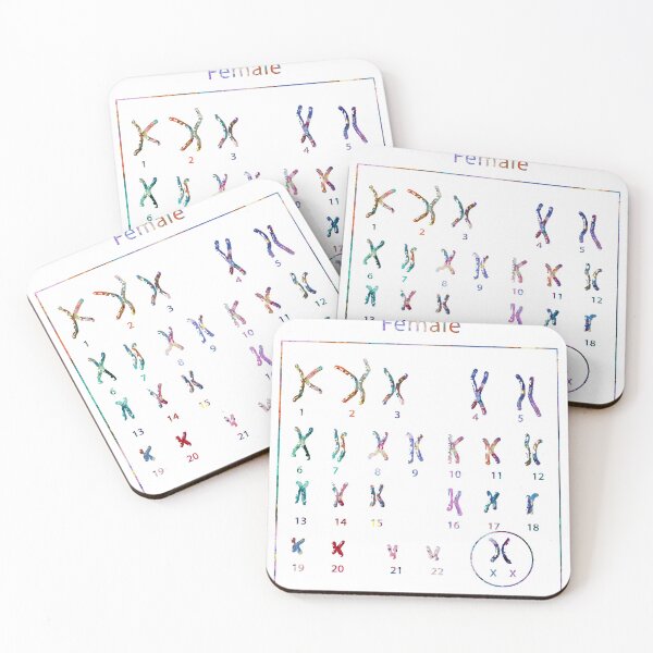 Item preview, Human Female Chromosomes designed and sold by EvasDreams.