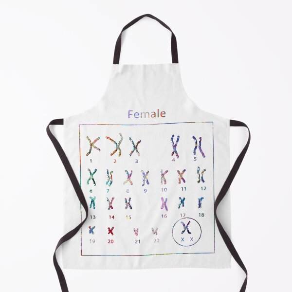 Item preview, Human Female Chromosomes designed and sold by EvasDreams.