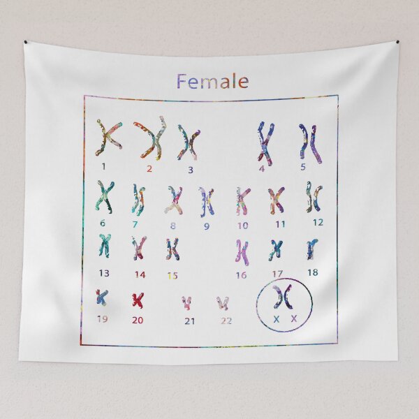 Item preview, Human Female Chromosomes designed and sold by EvasDreams.
