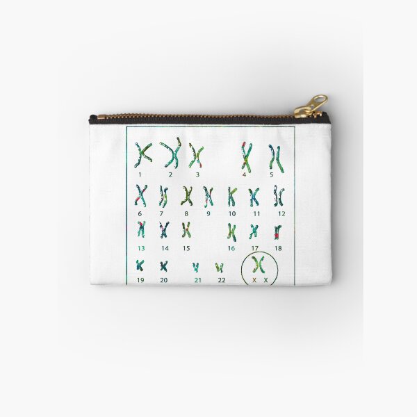 Item preview, Human Female Chromosomes designed and sold by EvasDreams.