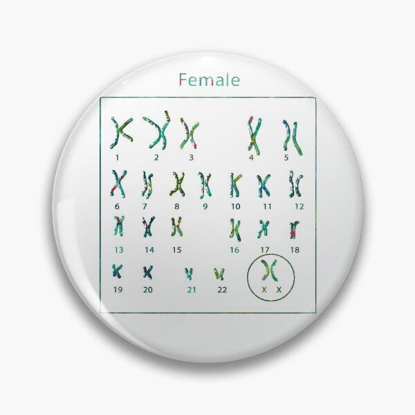 Item preview, Human Female Chromosomes designed and sold by EvasDreams.