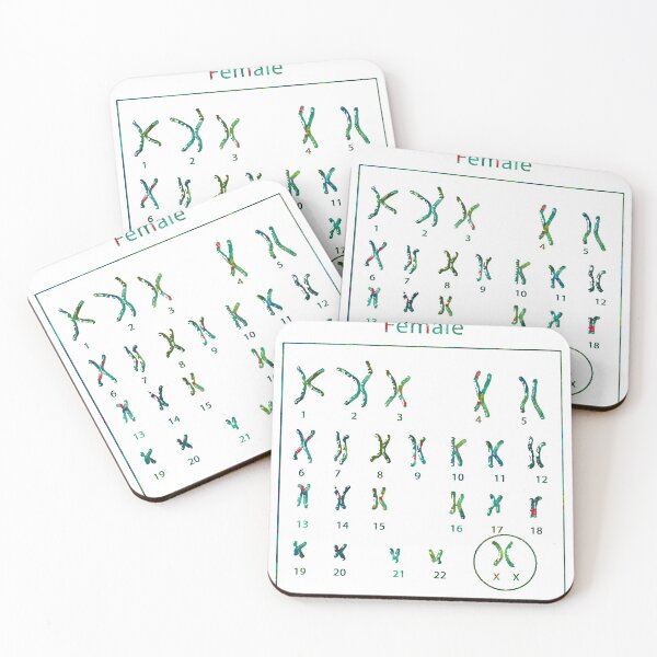 Item preview, Human Female Chromosomes designed and sold by EvasDreams.