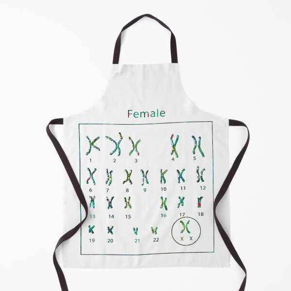 Item preview, Human Female Chromosomes designed and sold by EvasDreams.