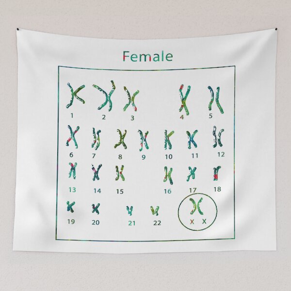 Item preview, Human Female Chromosomes designed and sold by EvasDreams.