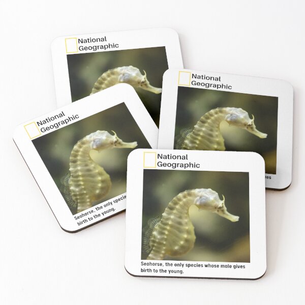 Item preview, Seahorse Interesting Fact designed and sold by being trendy.